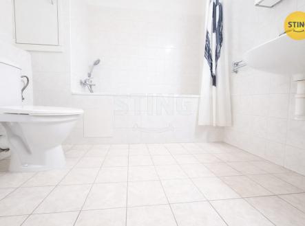 WhatsApp Image 2026-02-23 at 11.25.51.jpeg | Pronájem bytu, 1+kk, 40 m²