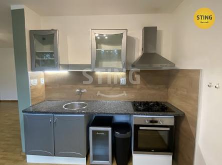 IMG_2378.jpeg | Pronájem bytu, 1+kk, 45 m²