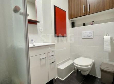 IMG_1111.jpg | Pronájem bytu, 1+1, 41 m²