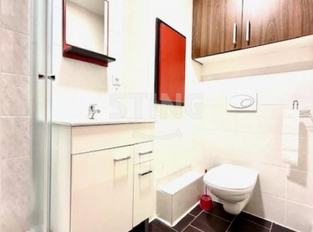 IMG_9634.jpeg | Pronájem bytu, 1+1, 41 m²