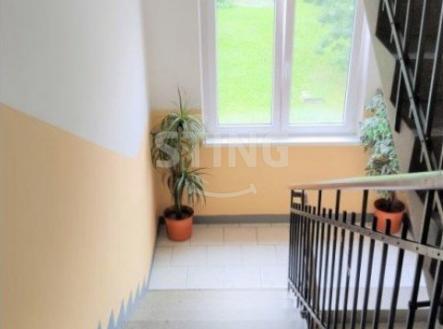 stažený soubor (10).jpg | Pronájem bytu, 1+1, 56 m²