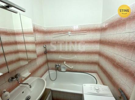 stažený soubor (4).jpeg | Pronájem bytu, 2+1, 49 m²