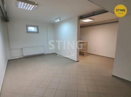 20220224_164349.jpg | Pronájem - jiné, 36 m²