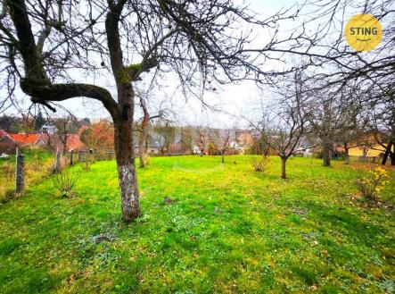 20251113_125633.jpg | Prodej - pozemek, zahrada, 1 169 m²