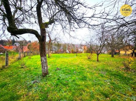 20251113_125633.jpg | Prodej - pozemek, zahrada, 1 169 m²