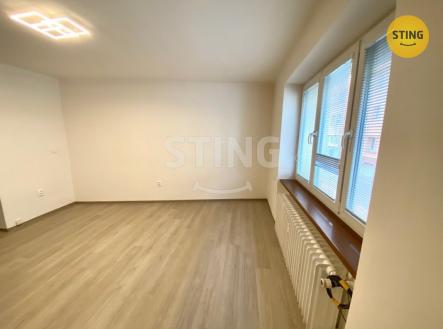 IMG_5150.jpg | Pronájem bytu, 1+kk, 25 m²