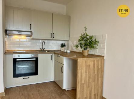 IMG_6091.jpeg | Pronájem bytu, 1+kk, 35 m²