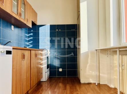 IMG_5001.jpeg | Pronájem bytu, 2+1, 53 m²