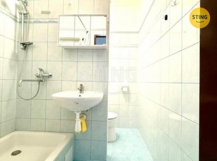 IMG_8803.jpeg | Pronájem bytu, 2+1, 45 m²