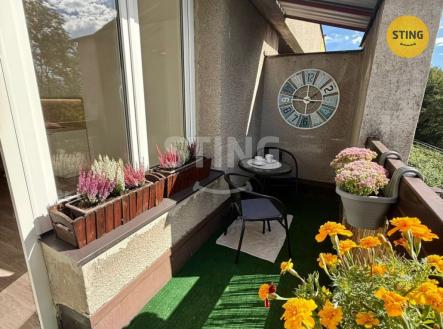 IMG-20250921-WA0013 (1).jpg | Pronájem bytu, 1+kk, 27 m²