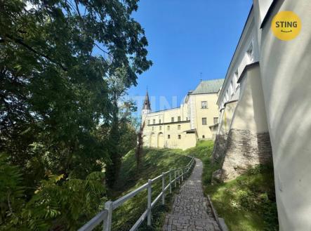 IMG-20250921-WA0004.jpg | Pronájem bytu, 1+kk, 27 m²