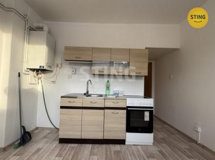 IMG_3215.jpeg | Pronájem bytu, 2+1, 54 m²