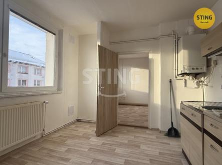 IMG_3216.jpeg | Pronájem bytu, 2+1, 54 m²