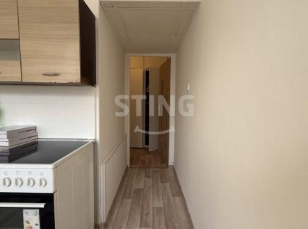 IMG_3217.jpeg | Pronájem bytu, 2+1, 54 m²