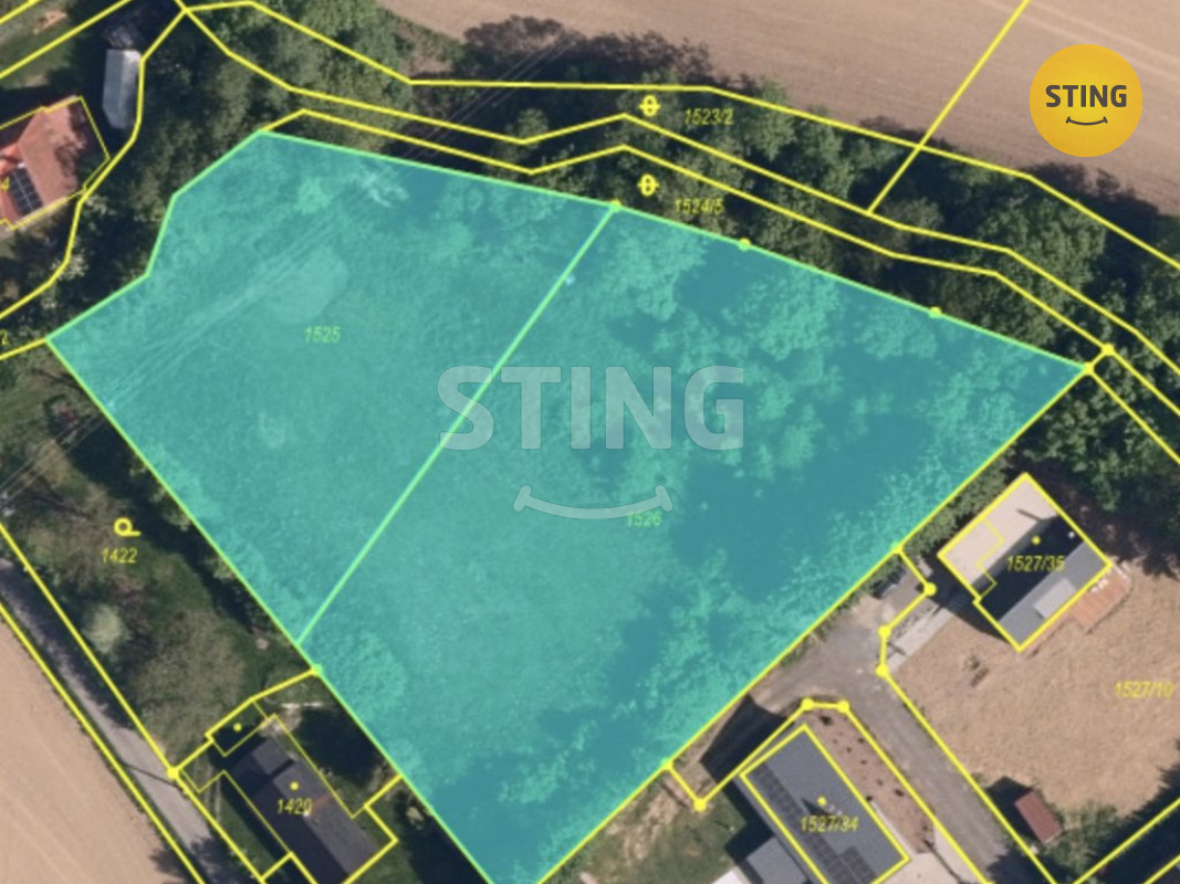 Obrázek 09.01.2026 v 20.05.jpeg