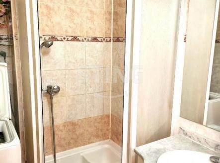 20250112_150825.jpg | Pronájem bytu, 2+1, 58 m²