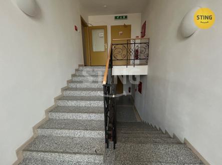 IMG_9976.jpeg | Pronájem - kanceláře, 40 m²