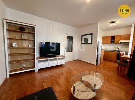 IMG_1034.jpeg | Pronájem bytu, 1+kk, 38 m²