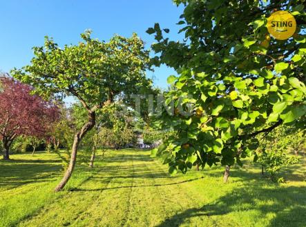 IMG-20260117-WA0009 (2).jpg | Prodej - pozemek pro bydlení, 1 185 m²