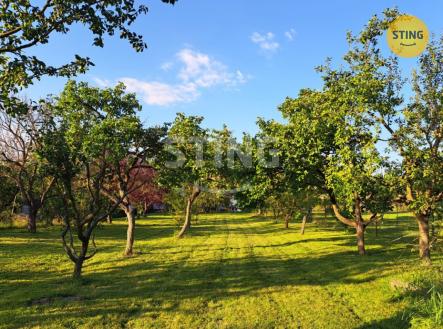 IMG-20260117-WA0010.jpg | Prodej - pozemek pro bydlení, 1 185 m²