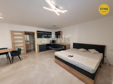 havlin 2.jpg | Pronájem bytu, 1+kk, 41 m²