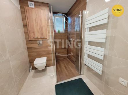 havlin 6.jpg | Pronájem bytu, 1+kk, 41 m²