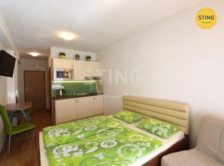 DSC_0352.JPG | Pronájem bytu, 1+kk, 24 m²