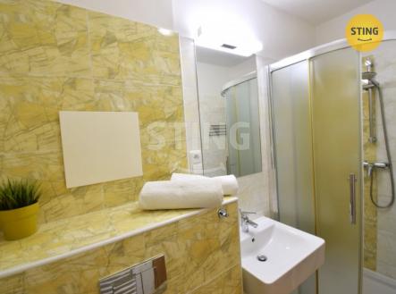 DSC_0338.JPG | Pronájem bytu, 1+kk, 24 m²