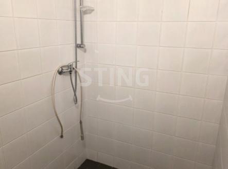 sprcha.jpg | Pronájem - výrobní prostor, 316 m²
