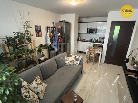 IMG_6340.jpg | Pronájem bytu, 2+kk, 42 m²