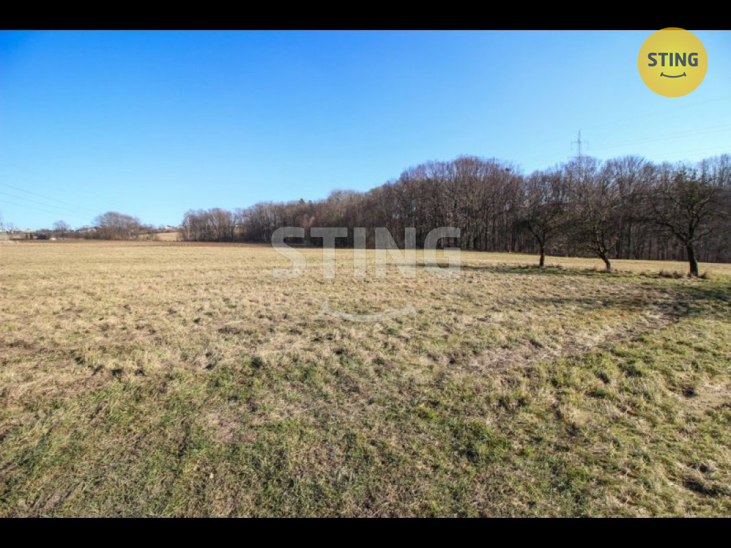 stažený soubor.jpeg