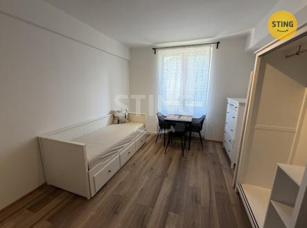 IMG_2739.jpeg | Pronájem bytu, 1+kk, 19 m²