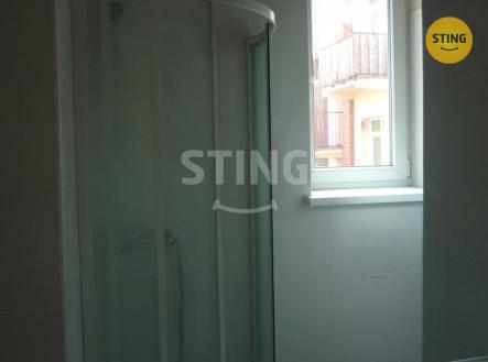 P1030097.JPG | Pronájem bytu, 2+1, 84 m²