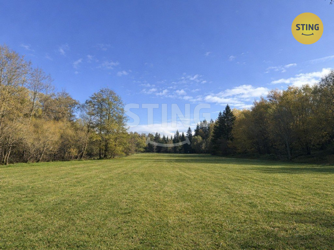 ai_vyklizeni (3).jpg