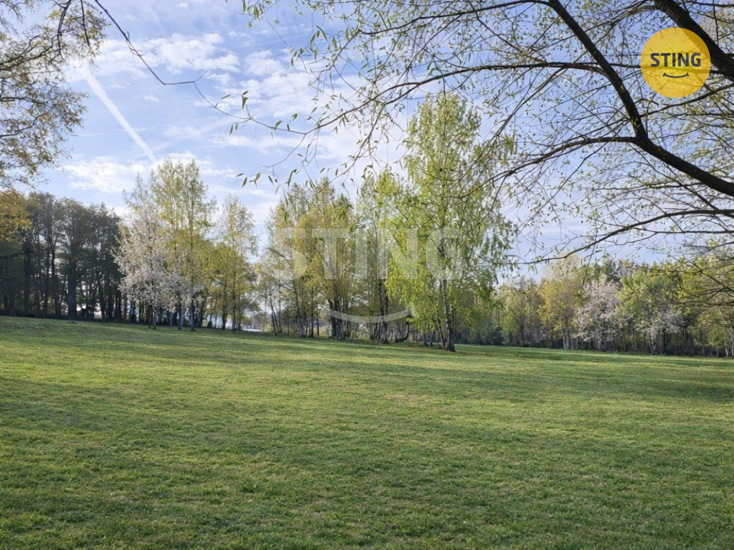 ai_season_spring (1).jpg