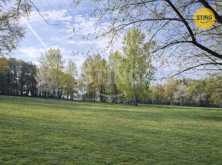 ai_season_spring (1).jpg | Prodej - pozemek pro bydlení, 5 895 m²