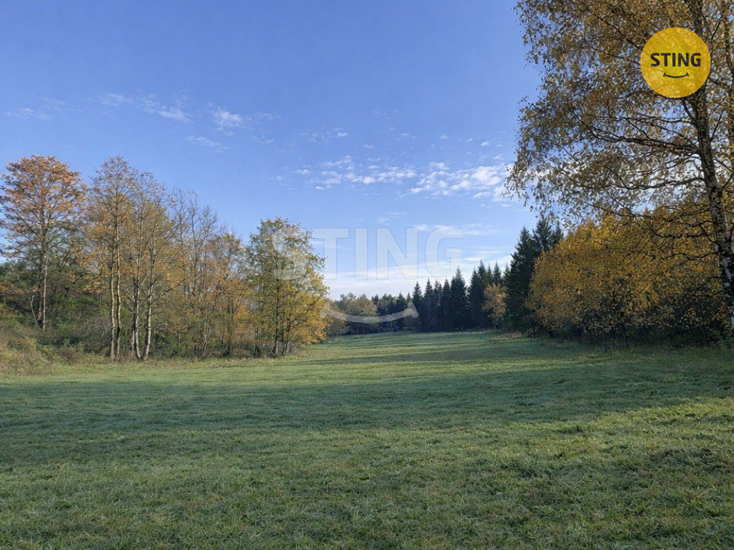 ai_vyklizeni (1).jpg