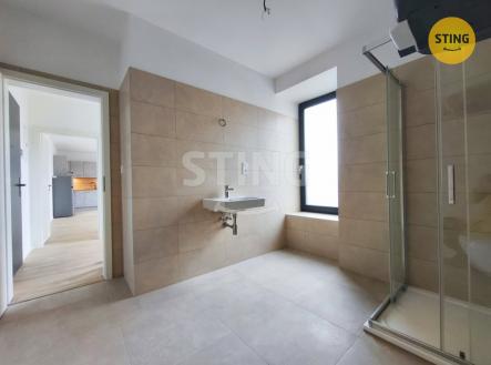 IMG_20260312_172943.jpg | Pronájem bytu, 1+kk, 91 m²