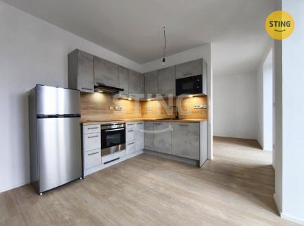 IMG_20260312_173041.jpg | Pronájem bytu, 1+kk, 91 m²