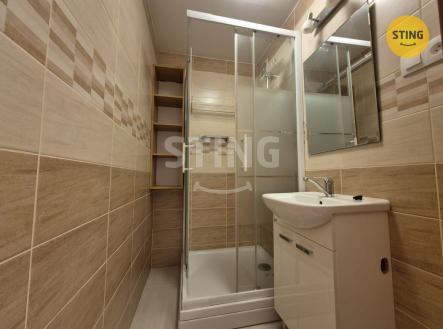 20260316_163703.jpg | Pronájem bytu, 1+kk, 28 m²