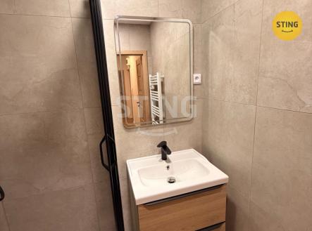 IMG_8317.jpeg | Pronájem bytu, 2+1, 50 m²