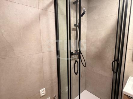 IMG_8316.jpeg | Pronájem bytu, 2+1, 50 m²