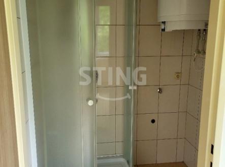 stažený soubor (4).jpg | Pronájem bytu, 2+1, 64 m²