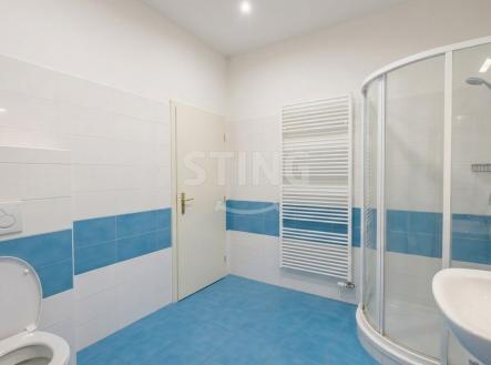 Koupelna.jpeg | Pronájem bytu, 2+kk, 46 m²