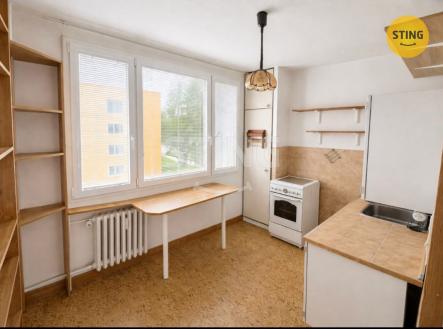 jj.jpeg | Pronájem bytu, 2+1, 55 m²