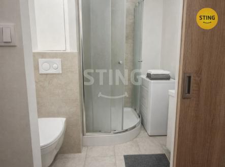 09a4dd08-880a-4641-a055-23fcd3f1d990 (1).jpg | Pronájem bytu, 1+kk, 30 m²