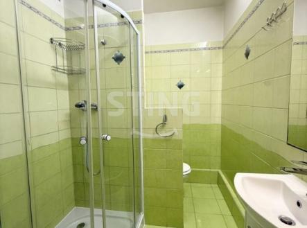 stažený soubor (23).jpeg | Pronájem bytu, 2+1, 45 m²