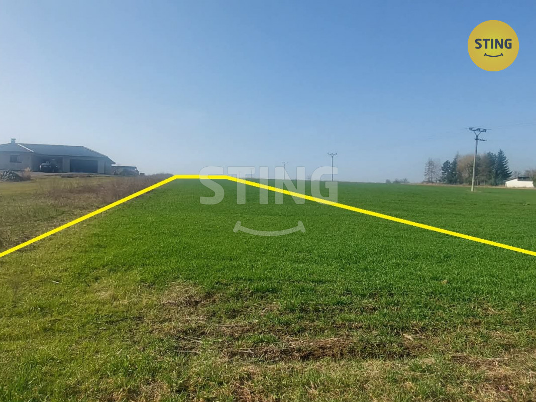 bb717481-985c-49a8-b942-c51fae827770 - kopie.jpg