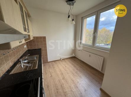 IMG_0712.jpeg | Pronájem bytu, 3+1, 68 m²