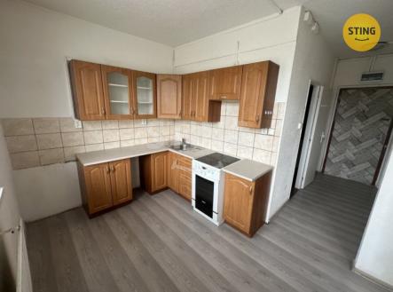 stahování.jpeg | Pronájem bytu, 1+1, 42 m²